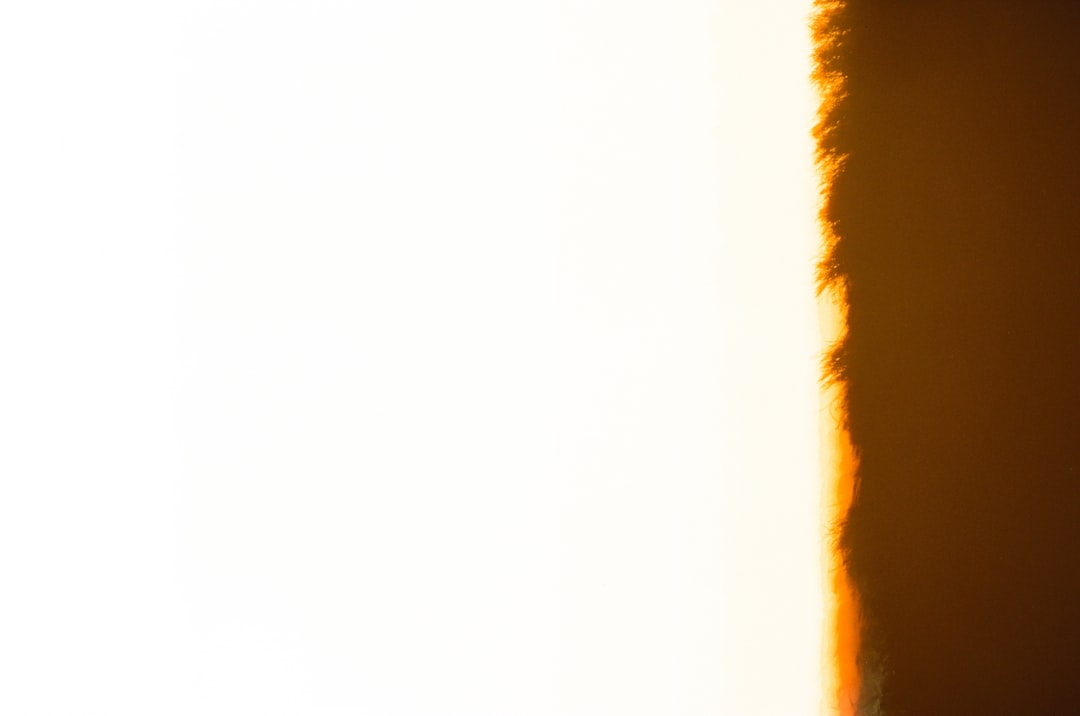 Zo speel je jokeren: spelregels en varianten